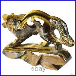 Gemstone 5.1 Blue & Gold Tiger's Eye Hand Carved Wolf Sculpture, Healing