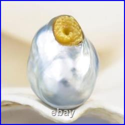 HUGE South Sea Pearl Baroque Golden Mother-of-Pearl Snake Carving undrilled 4.6g
