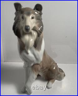 Lladro Collie Dog Porcelain Figurine #6455 New Flawless Safely Locked Up Cabinet