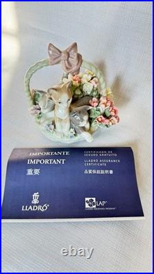 Lladro Purr-fect #01444