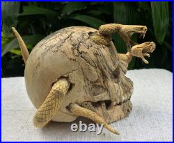 Medusa Snake Carved Skull Sculpture Wood Human Skull Replica Snake Head OOAK