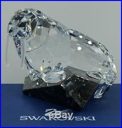 NEW Swarovski Crystal SoulMates Walrus 874620 with COA Designed by Mario Dilitz