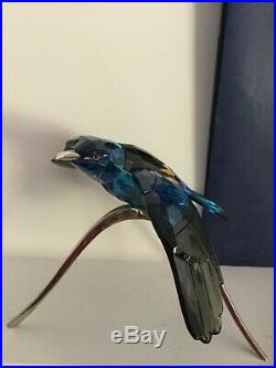 NIB Swarovski Crystal Blue Roller Paradise Bird 957568 Figurine