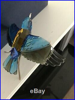 NIB Swarovski Crystal Blue Roller Paradise Bird 957568 Figurine