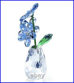 NIB Swarovski Flower Dreams Forget-Me-Not Symbol Of Precious Memories #5254325