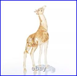 NIB Swarovski SCS 2018 Exclusive Giraffe Baby Gold Tone Crystal Figurine 5302151