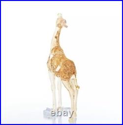 NIB Swarovski SCS 2018 Exclusive Giraffe Baby Gold Tone Crystal Figurine 5302151