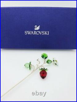 New 100% SWAROVSKI Crystal Garden Tales Wild Strawberry Display Deco 5619232