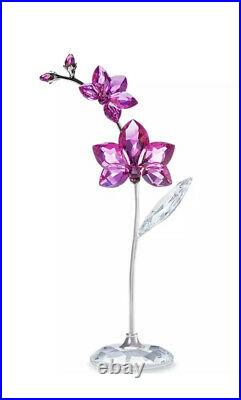 New In Box Swarovski Flower Dreams Orchid Large Crystal Figurine #5490755