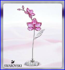 New In Box Swarovski Flower Dreams Orchid Large Crystal Figurine #5490755