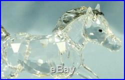 New Swarovski Crystal 2014 Esperanza SCS Foal Annual Edition #5004729 NIB