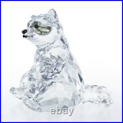 New in Box 100% Authentic Swarovski RACCOON Crystal Figurine #5301563
