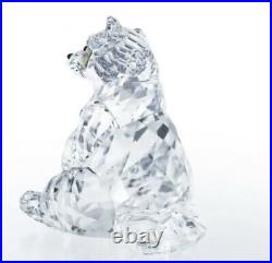 New in Box 100% Authentic Swarovski RACCOON Crystal Figurine #5301563
