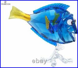 New in Box $325 SWAROVSKI Figurine Disney Dory Blue Fish Finding Nemo #5252048