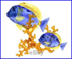 Nib $529 Swarovski Crystal Doctorfish Blue Fish Coral Tropical Sea Life 5223194