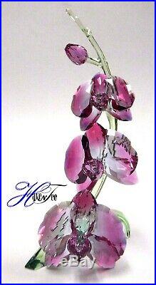 Orchids Stunning Flowers Unique Gradient Fuchsia Crystal 2017 Swarovski 5243561