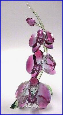 Orchids Stunning Flowers Unique Gradient Fuchsia Crystal 2017 Swarovski 5243561