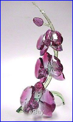 Orchids Stunning Flowers Unique Gradient Fuchsia Crystal 2017 Swarovski #5243561