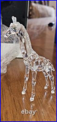 RARE Swarovski Crystal Baby Giraffe 7603 Retired MIB