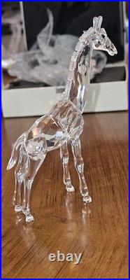 RARE Swarovski Crystal Baby Giraffe 7603 Retired MIB