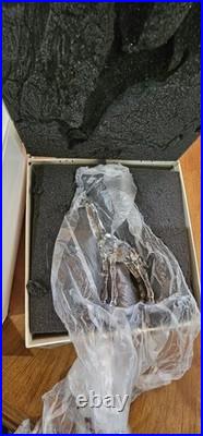 RARE Swarovski Crystal Baby Giraffe 7603 Retired MIB