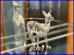 RARE! Swarovski Crystal Figurine DOE DEER #247963 Mint in Box 7608 000 003