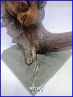 Rare Prehistoric Wood Statue Carved by Nature