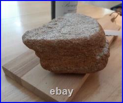 Rare one of a kind Natural Art Rock Loaf of Bread- 7.75x 5 x 2.5- Realistic