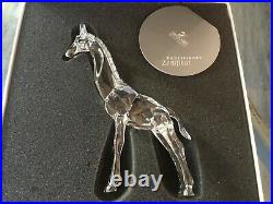 Retired Swarovski Crystal BABY GIRAFFE Figurine #7603NR 000 002 MIB withCOA