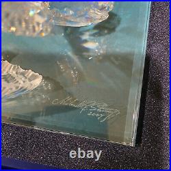 SIGNED Swarovski Crystal Wonders of the Sea 2006 ETERNITY Colored COA/ MIB