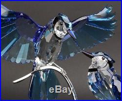 SWAROVSKI Blue Jays Large Colored Austrian Silver Crystal Bird Figurine NR SWR
