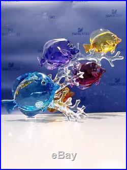 Swarovski Crystal Mother Nature Rainbow Fish Family New For 2106 New In Box Nr