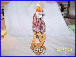 Swarovski Crystal Pariadise Cockatoo Bird Red Figurine New In Box 718565 Retired