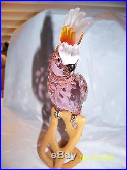 Swarovski Crystal Pariadise Cockatoo Bird Red Figurine New In Box 718565 Retired
