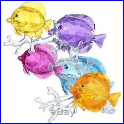 Swarovski Crystal Rainbow Fish Family. New In Box