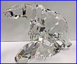 Swarovski Crystal Scs Nanuc Polar Bear Sculpture Figurine Mib 837477 Nos Nr Mint