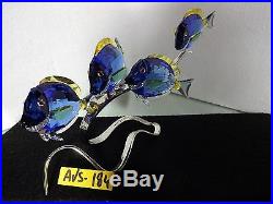 Swarovski Crystal Surgeonfish Surgeon Fish Scuba Blue # 1034023 Mib Disney Dory