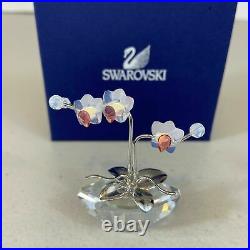 SWAROVSKI Crystal Figurine Orchid Flower Dreams 869948