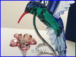 SWAROVSKI Crystal PARADISE HUMMINGBIRD #1188779 Beautiful, Brand NEW in Box