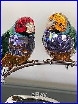 Swarovski Finches