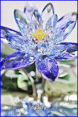 SWAROVSKI Genuine Waterlily Blue Violet 1141630 with Original Box #9569
