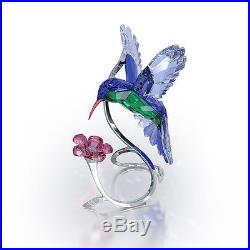 SWAROVSKI Hummingbird 1188779 Crystal Figurine BNIB