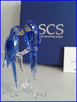 SWAROVSKI SCS HYACINTH MACASW 5004730