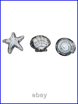 Set Of 3 Swarovski Starfish, Clam Shell, Snail. Ocean Beach