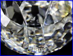 Signed Swarovski Austria Grizzly Bear 243880 Rare Encounter Crystal Figurine LMC