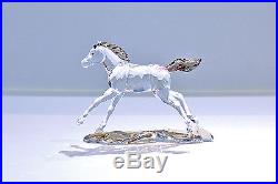 Swarovski 2014 SCS Annual Edition Horse Foal Signed 5004729 Brand New In Box