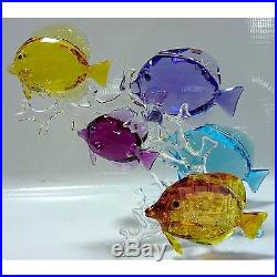 Swarovski $999 Rainbow Fish Family Crystal Decoration 6.75 x 7.63 x 5 5223195