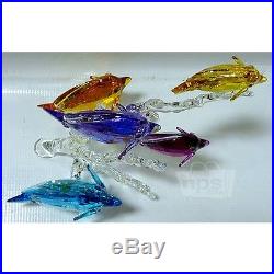 Swarovski $999 Rainbow Fish Family Crystal Decoration 6.75 x 7.63 x 5 5223195