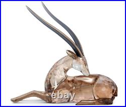 Swarovski African Sunset Gazelle Kito- 5557856