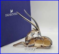 Swarovski African Sunset Gazelle Kito- 5557856